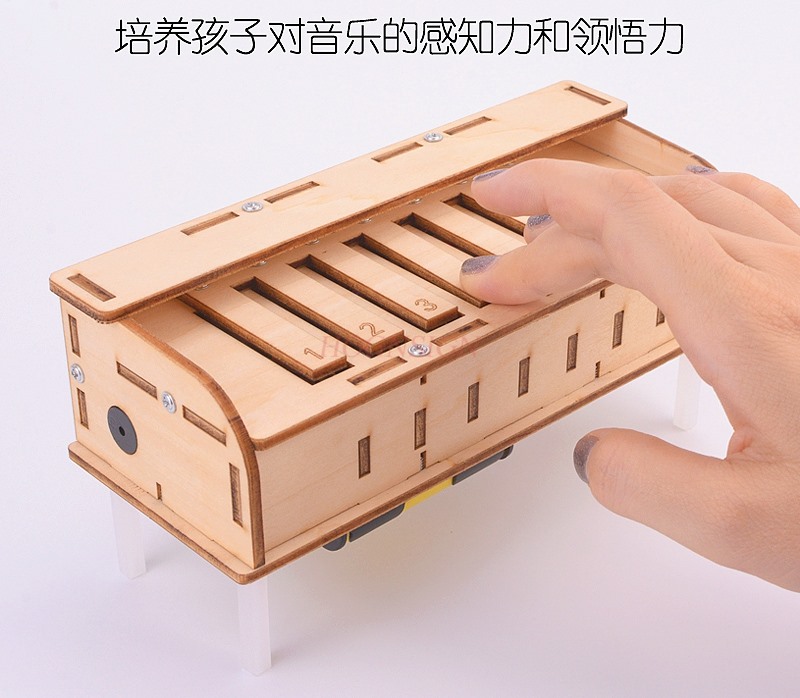 Science and technology small p - Homemade Diy Electronics review and price