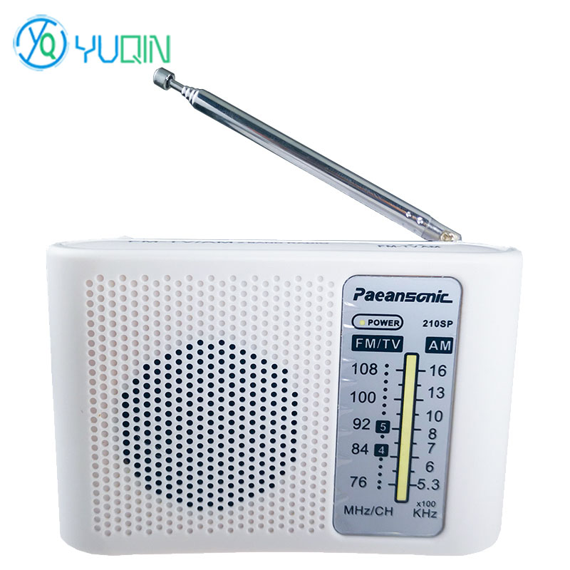 210SP AM/FM Radio Kit DIY Elec - Diy Electronics Projects For Beginners review and price